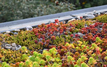 the cost of Swanbourne green roof installation