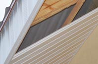 rated Swanbourne soffit repair companies